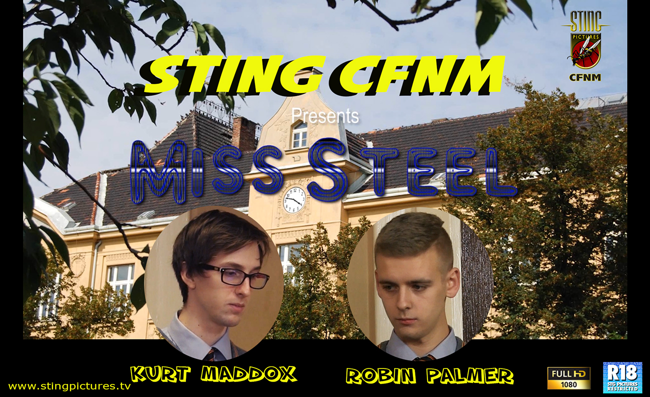 Cfnm sting