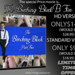Sting Special Price Spanking Classic – The Birching Block Part 5