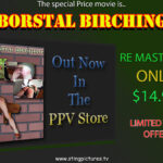 Re-Mastered Sting Special Price Spanking Classic : Borstal Birching